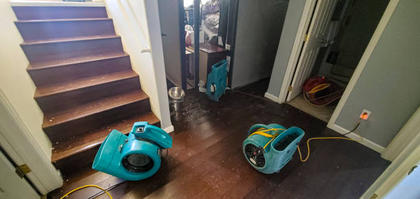 Best Fire Damage Restoration  in Rural Retreat, VA