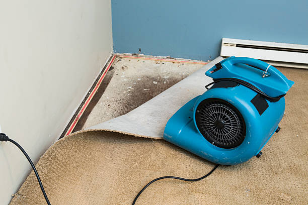Best Basement water damage restoration  in Rural Retreat, VA